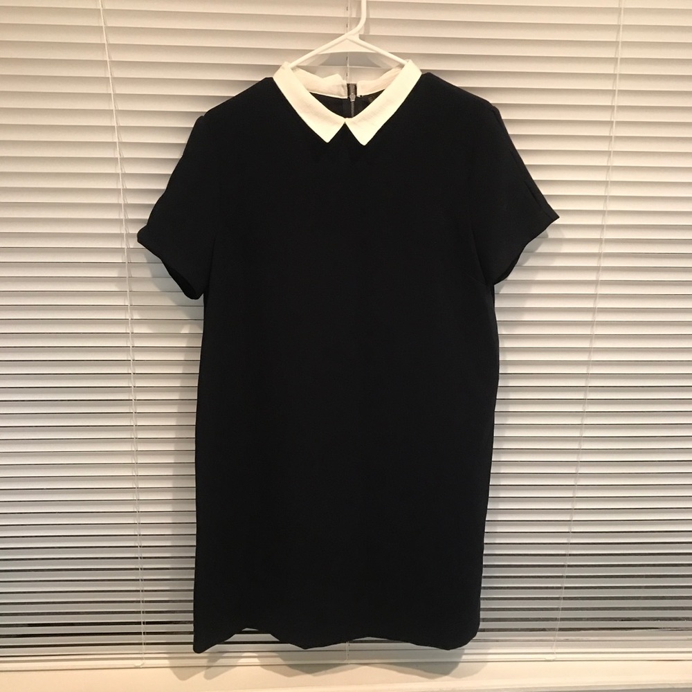 🔥Final Sale🔥 Zara collar dress